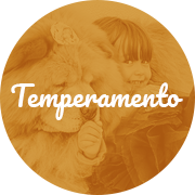 icon-temperamento